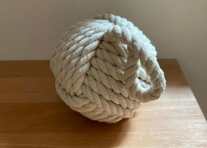 Casa Del Fiocco * 로비니